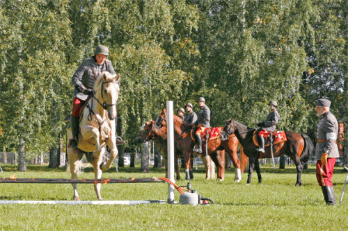 Hevonen-hyppaa